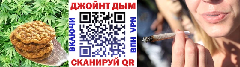 продажа наркотиков  ссылка на мегу как войти  Печенье с ТГК марихуана  Заинск 