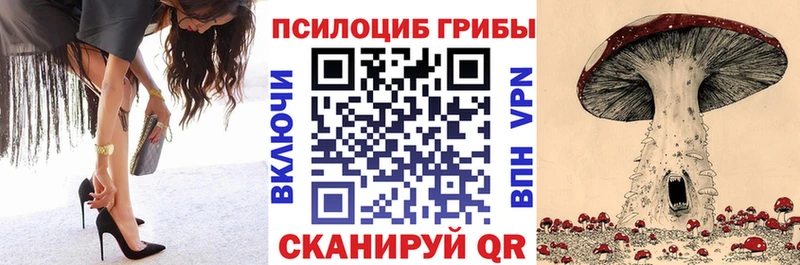 продажа наркотиков  Заинск  Псилоцибиновые грибы Psilocybine cubensis 